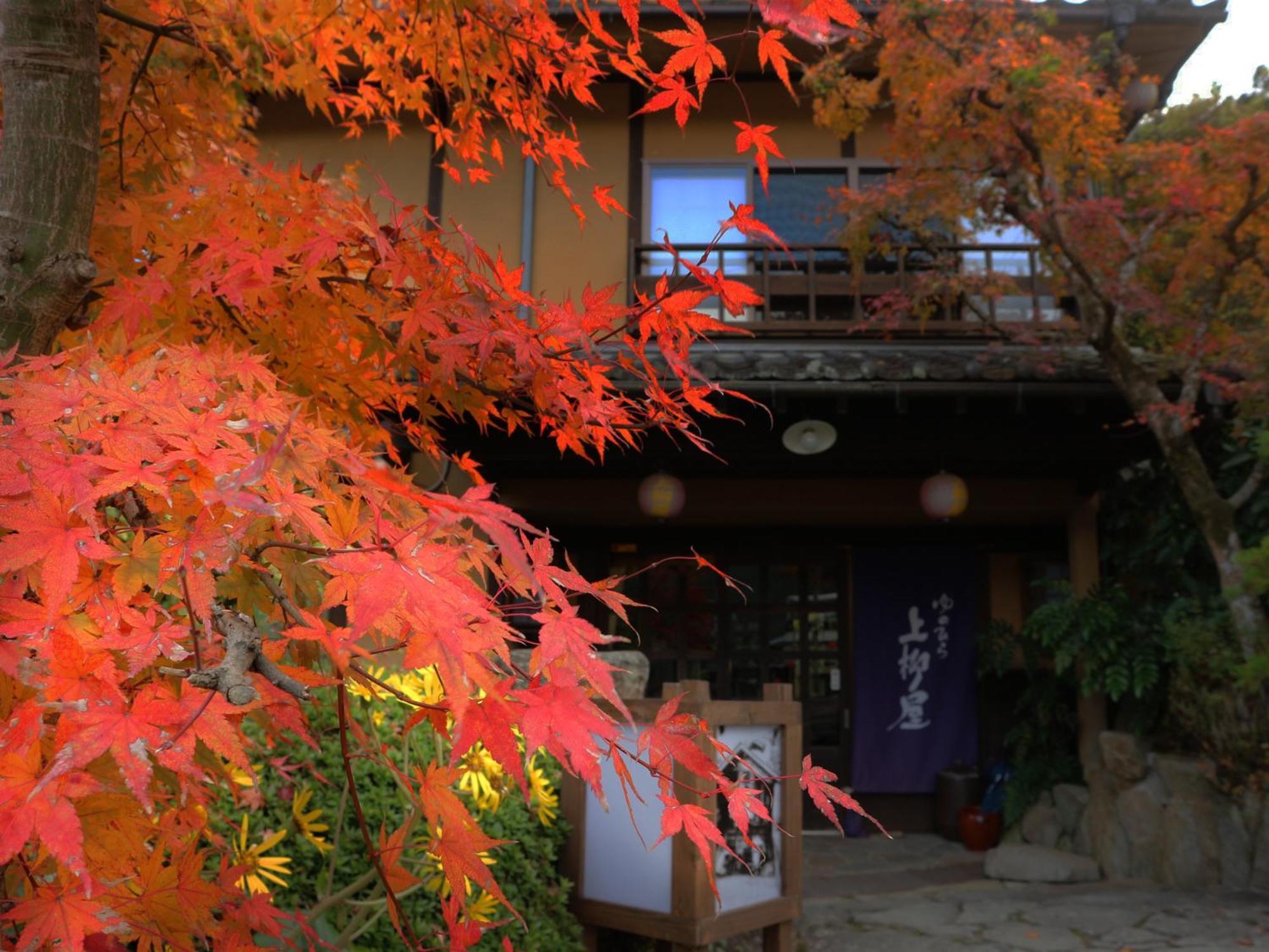 Yunohira Kamiyanagiya Hotell Yufu Exteriör bild